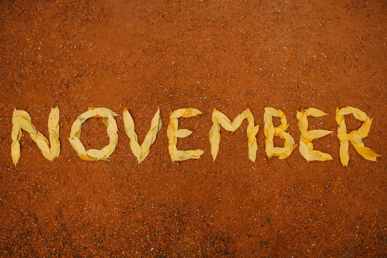 Yellow leaves spelling 'November' on red soil signify autumn's arrival.